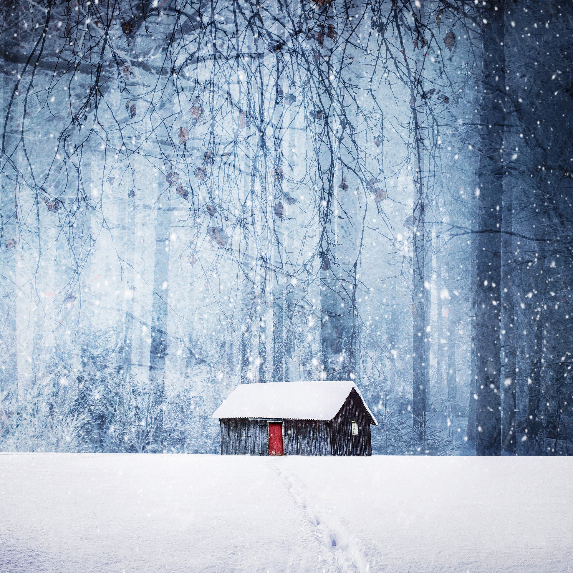 Winter No 2