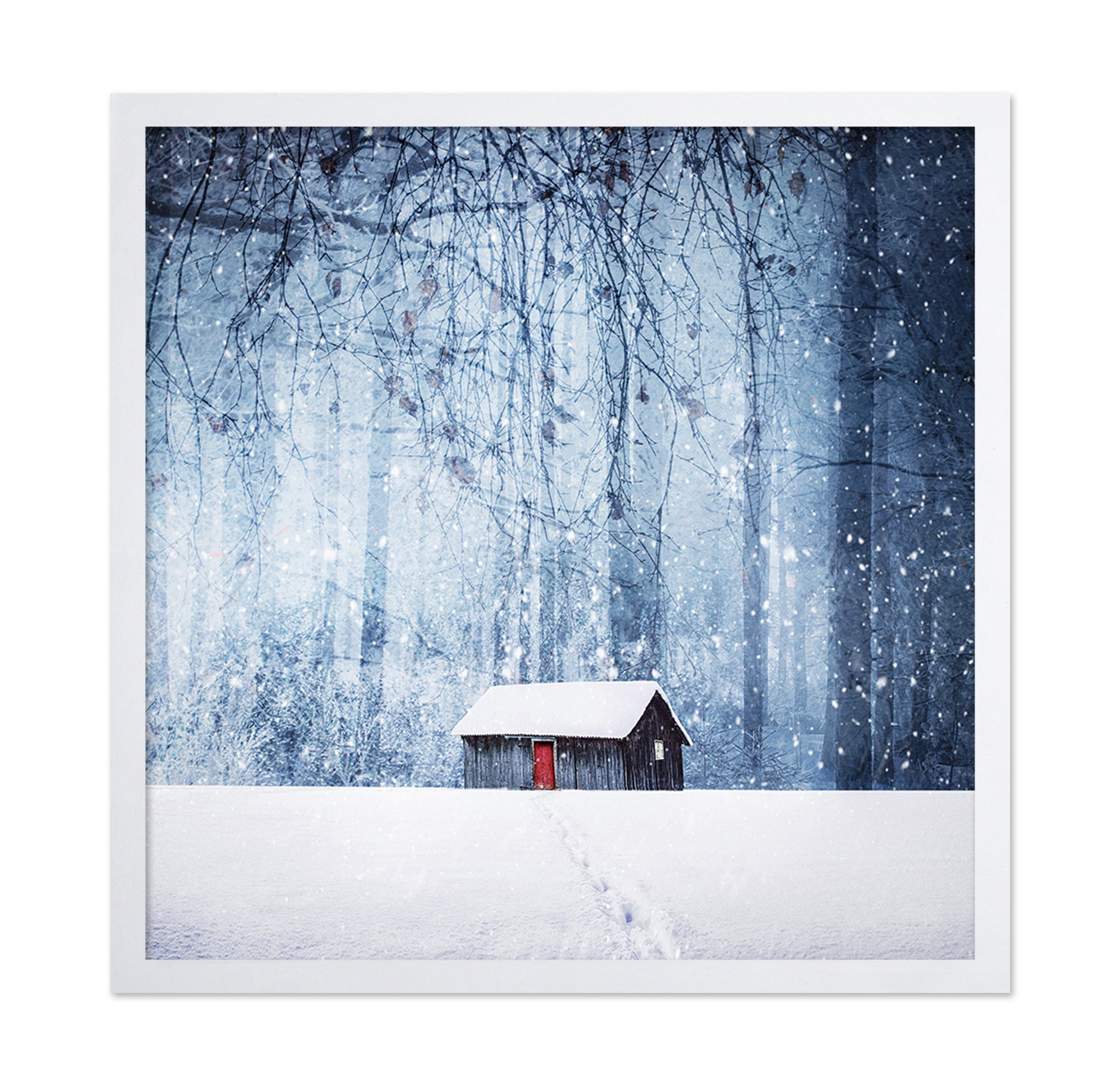 Winter No 2