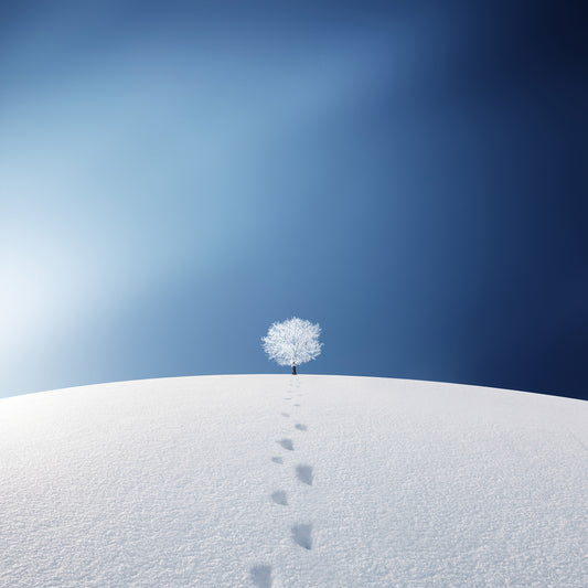 A Tree In The Field