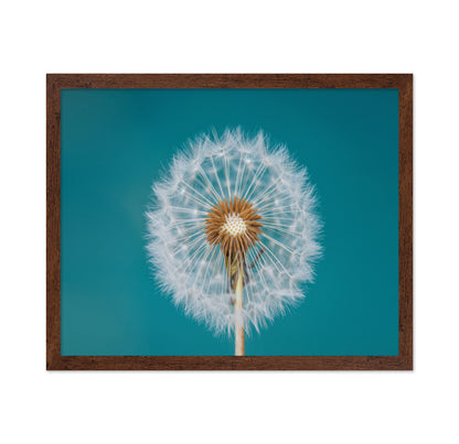 Turquoise Dandelion