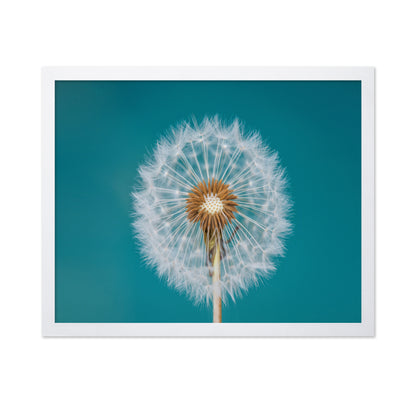 Turquoise Dandelion