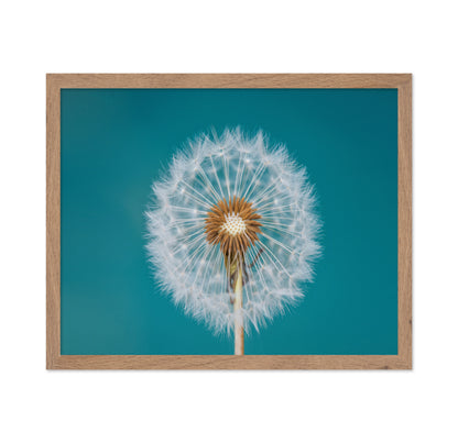 Turquoise Dandelion