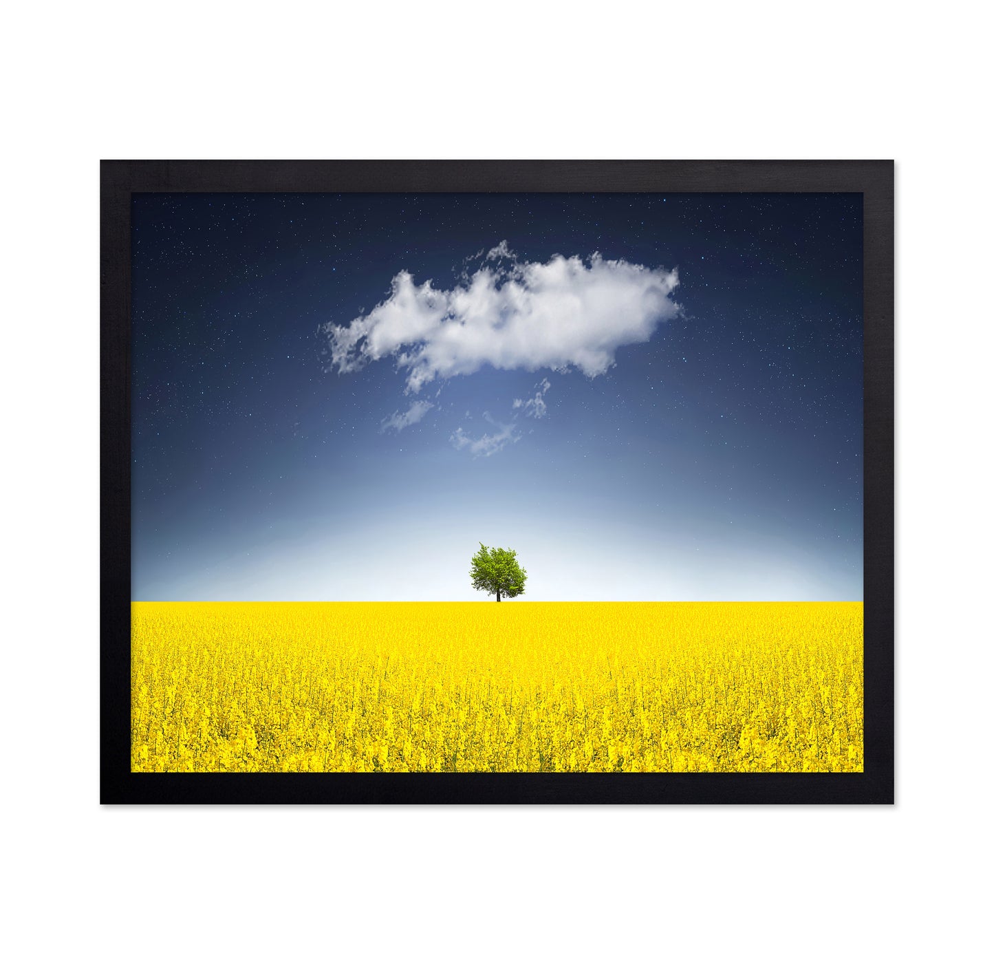Surreal Canola Field