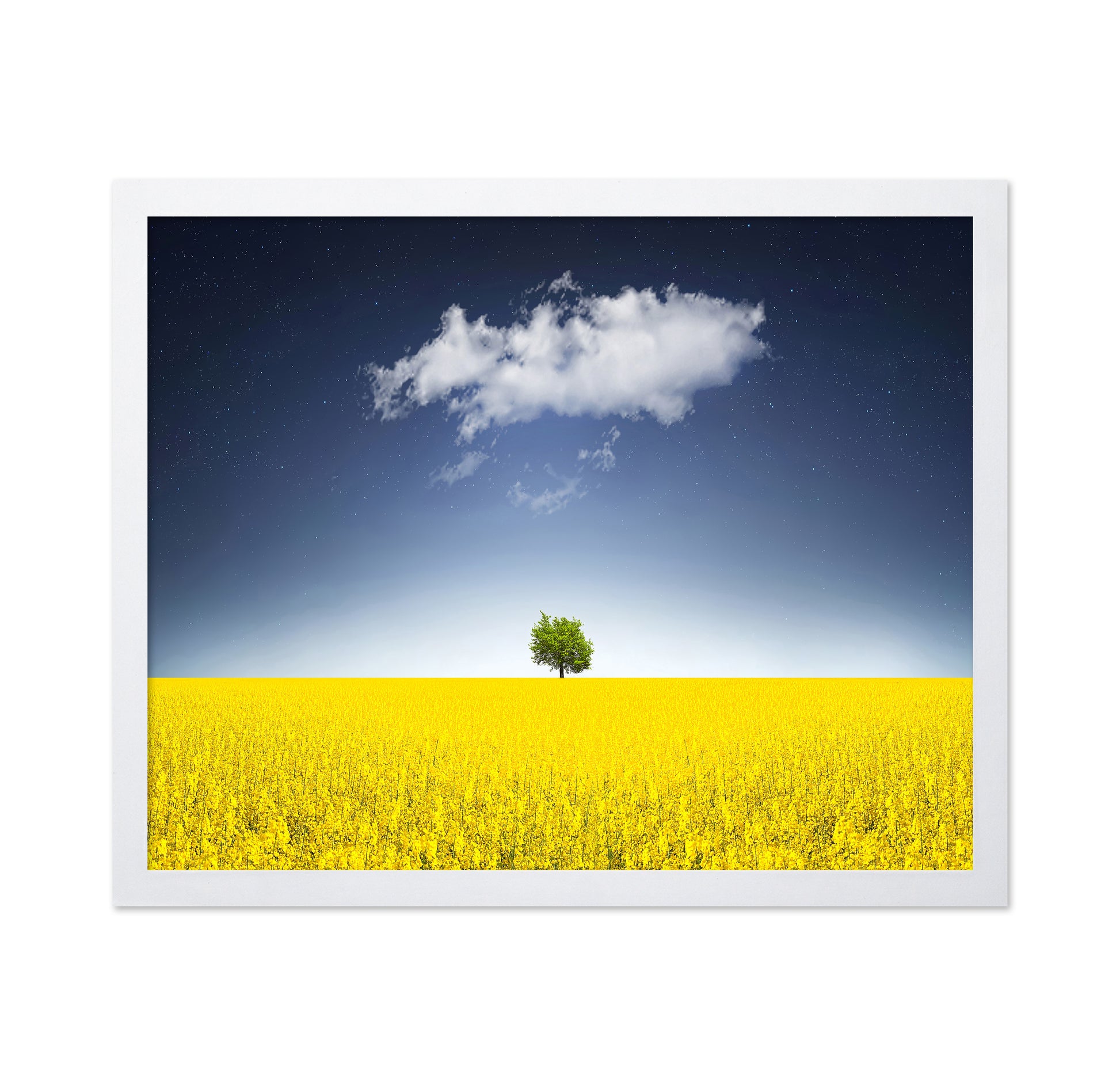 Surreal Canola Field