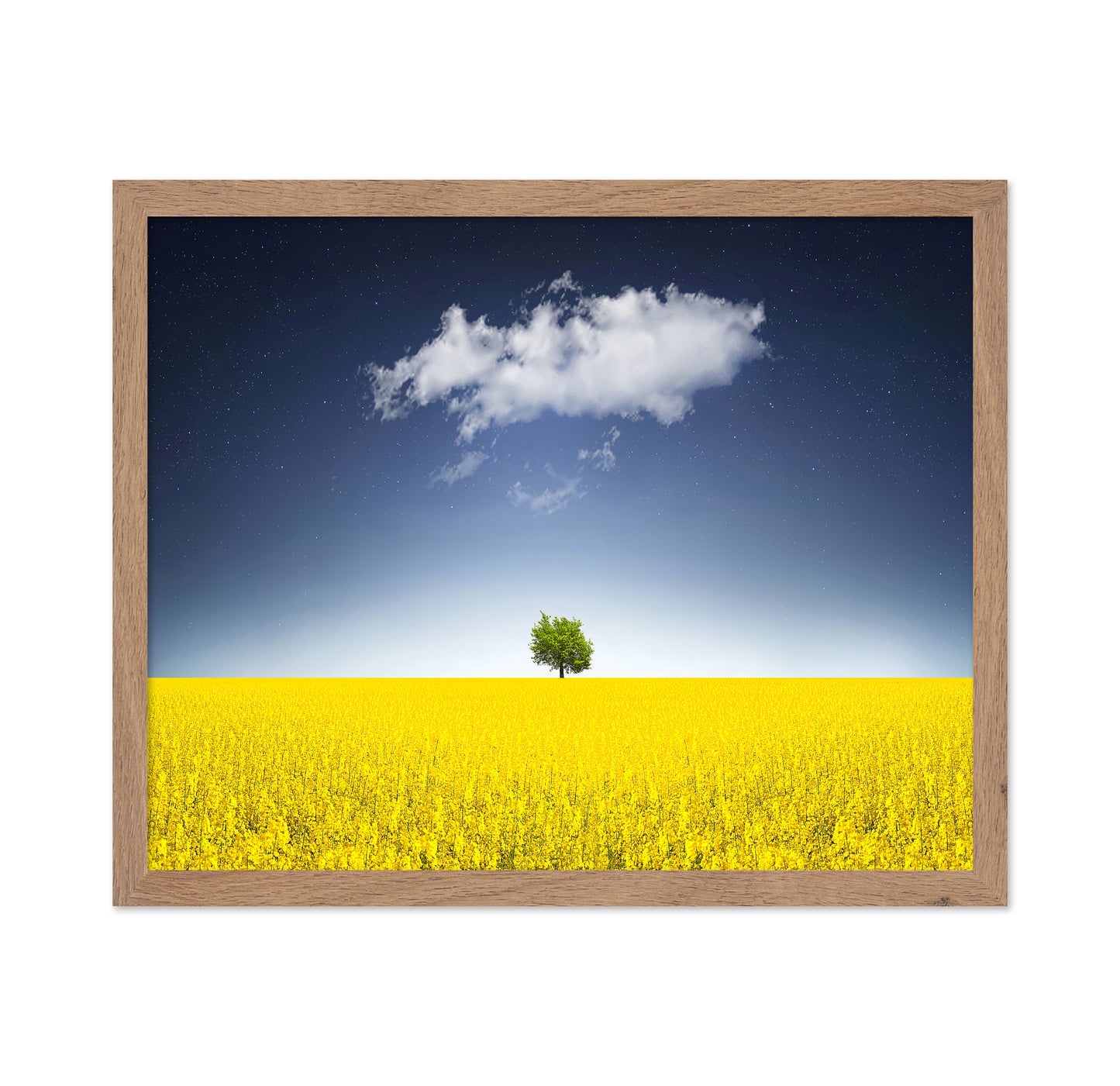 Surreal Canola Field