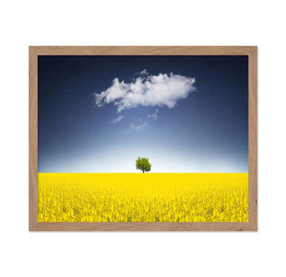 Surreal Canola Field