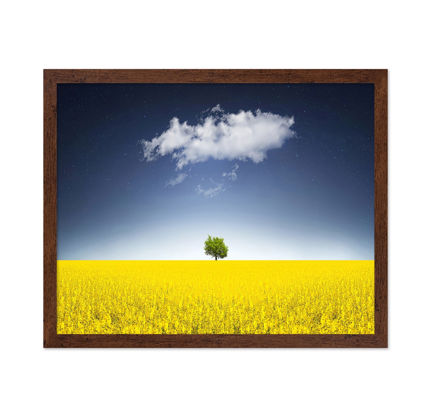 Surreal Canola Field