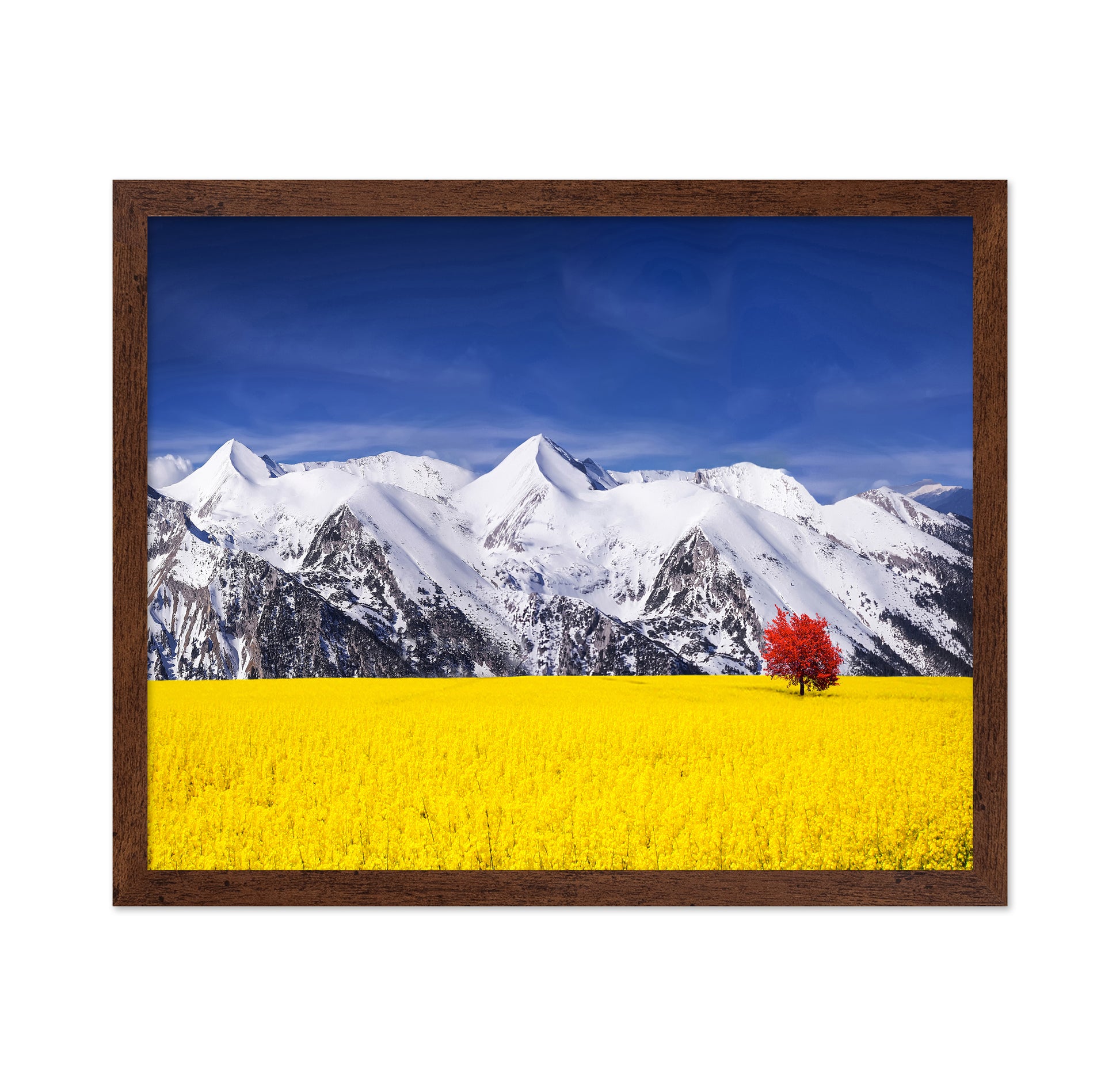 Red Tree in the Canola Meadow