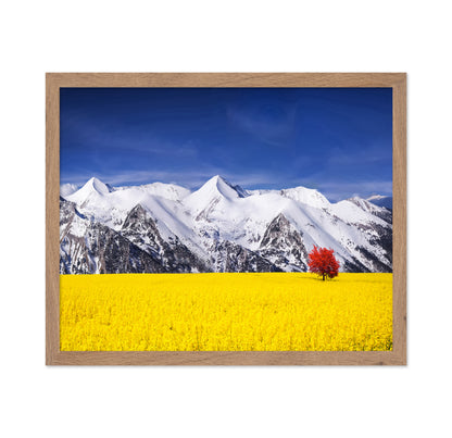 Red Tree in the Canola Meadow