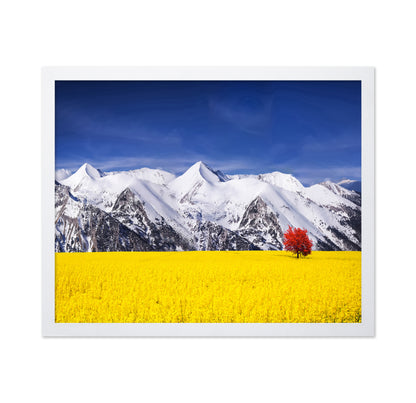 Red Tree in the Canola Meadow