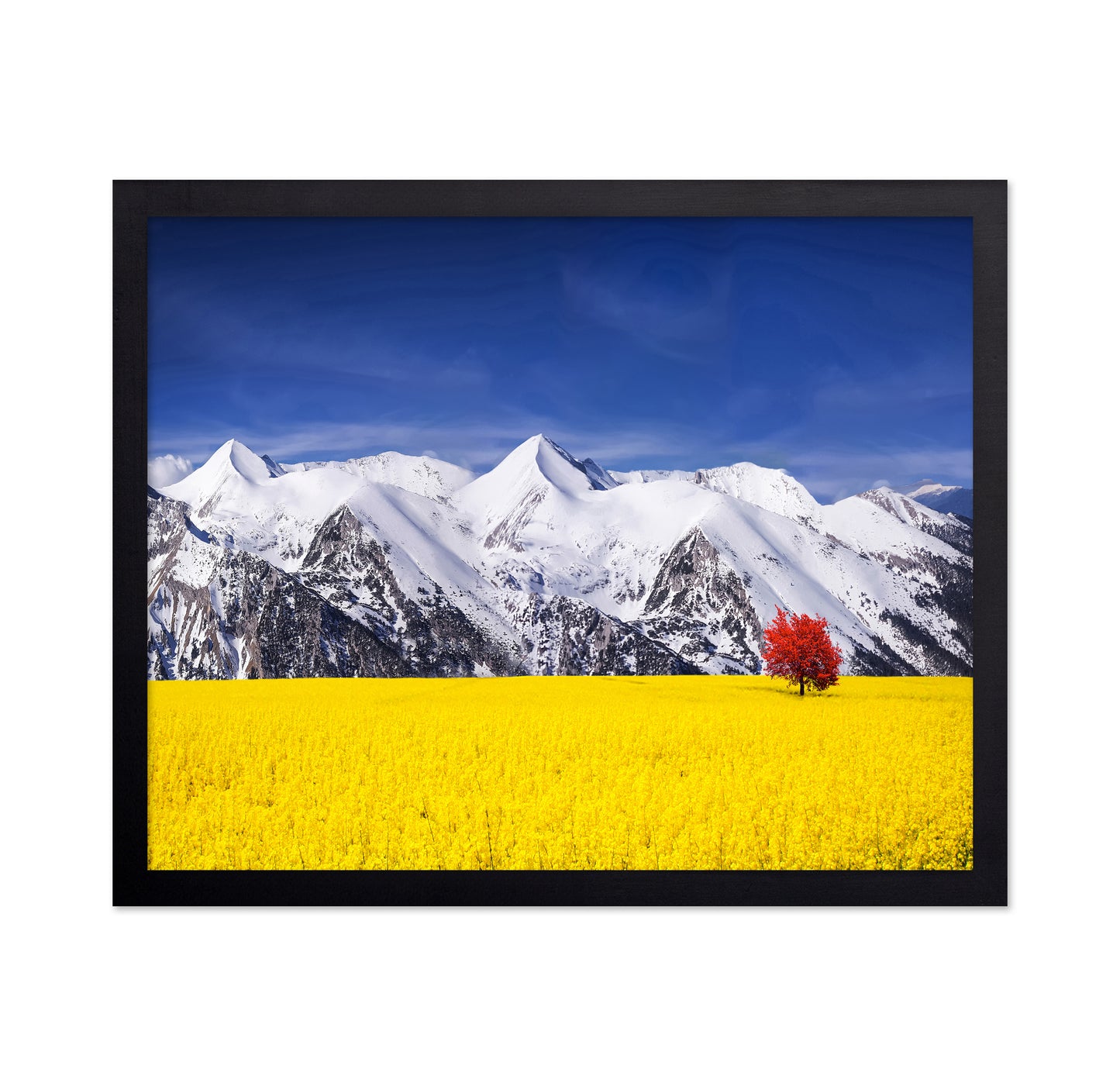 Red Tree in the Canola Meadow