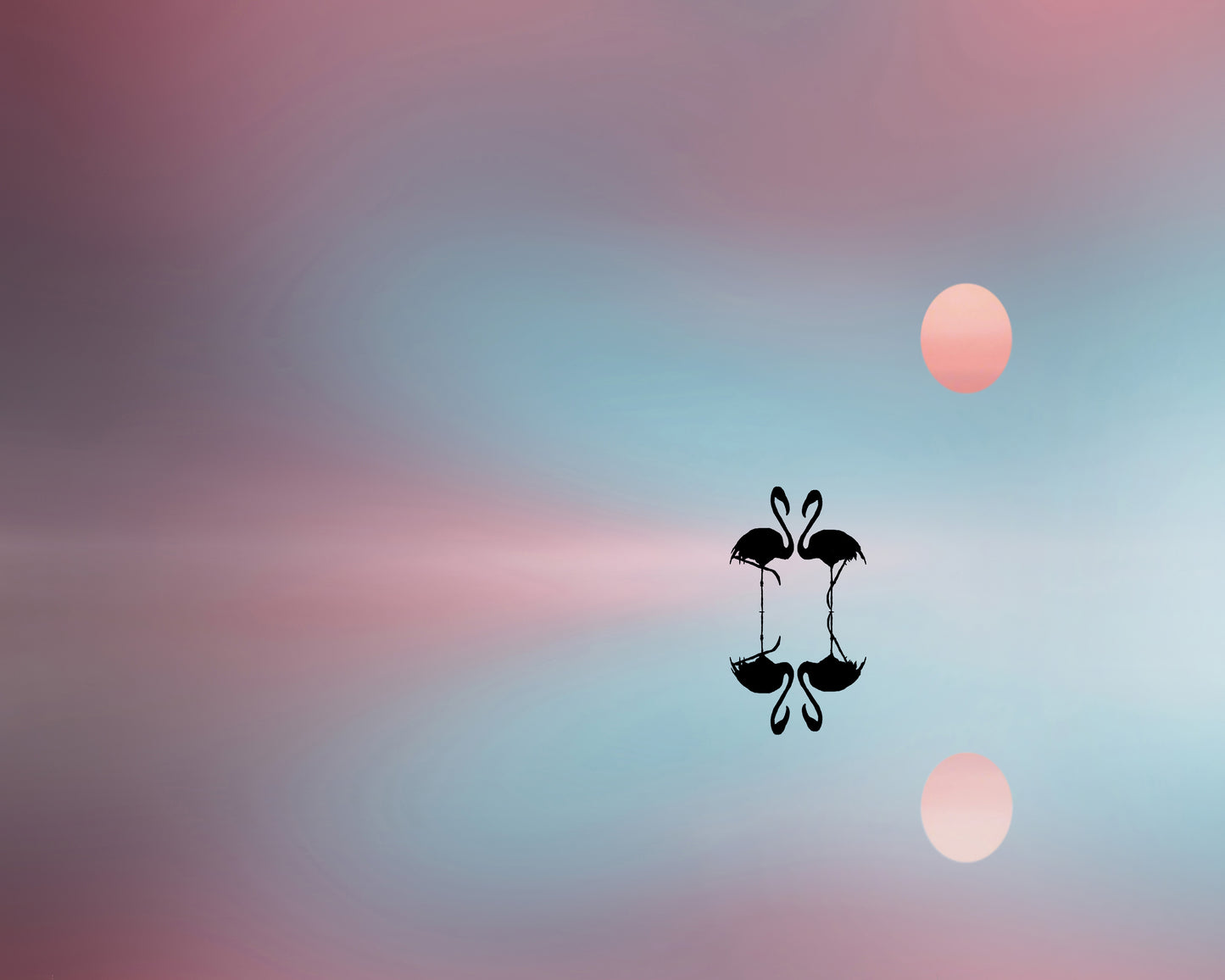 Sunset Tree