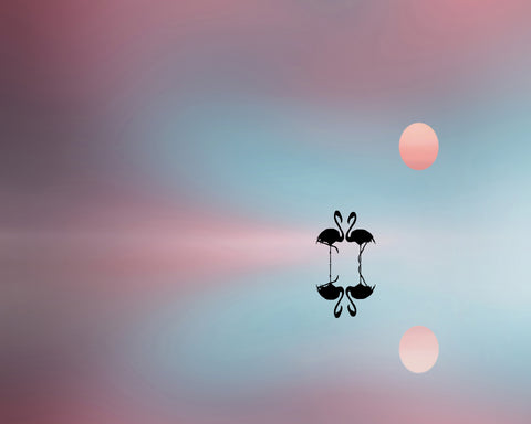 Sunset Tree