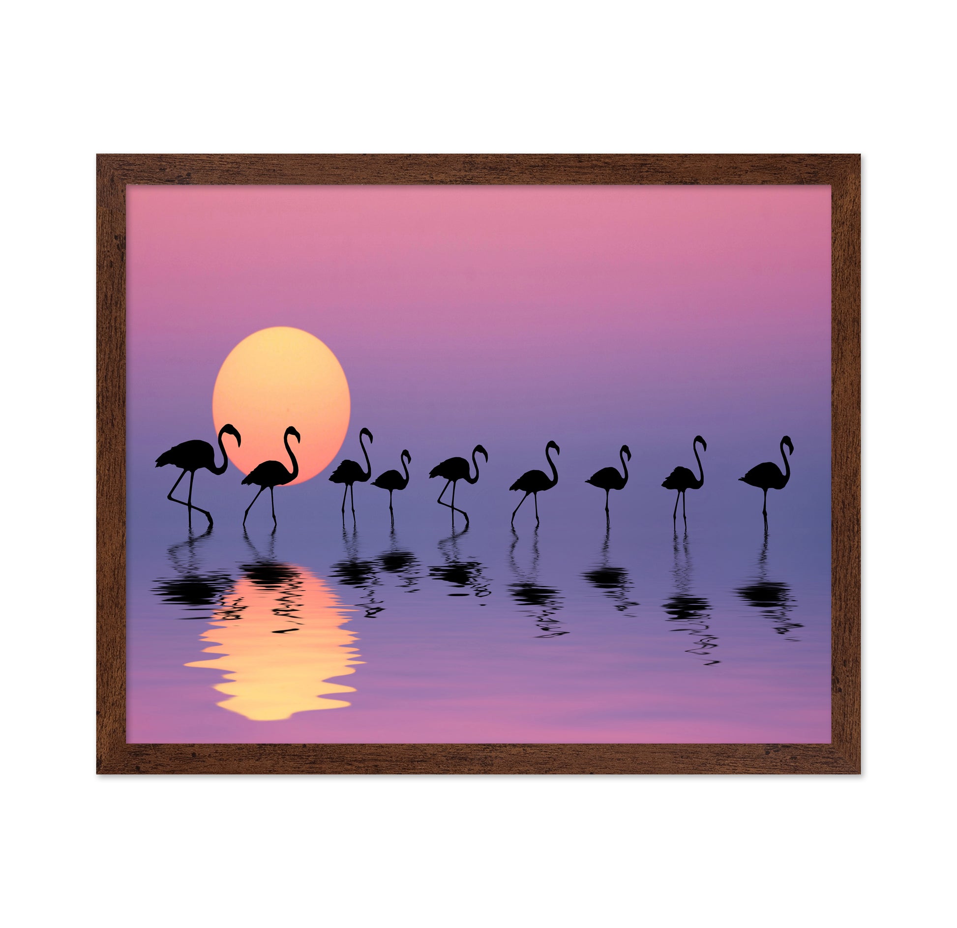 Family Flamingos