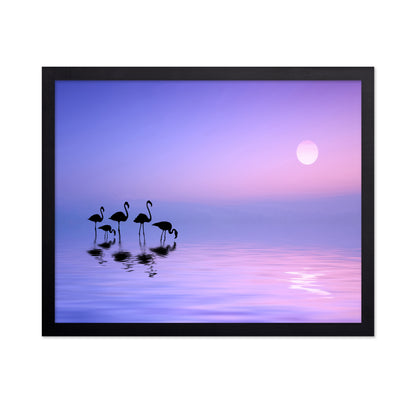 Morning Flamingo