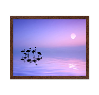 Morning Flamingo