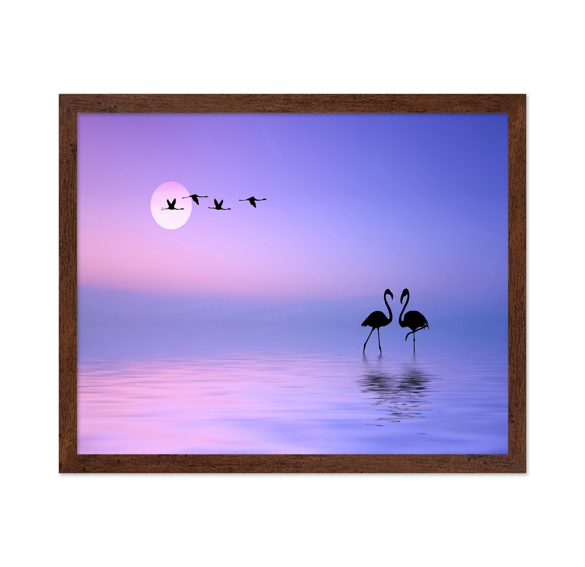 Flying Flamingo
