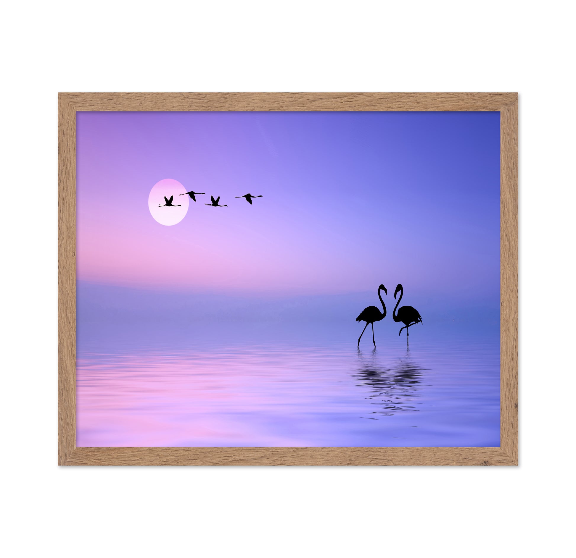 Flying Flamingo