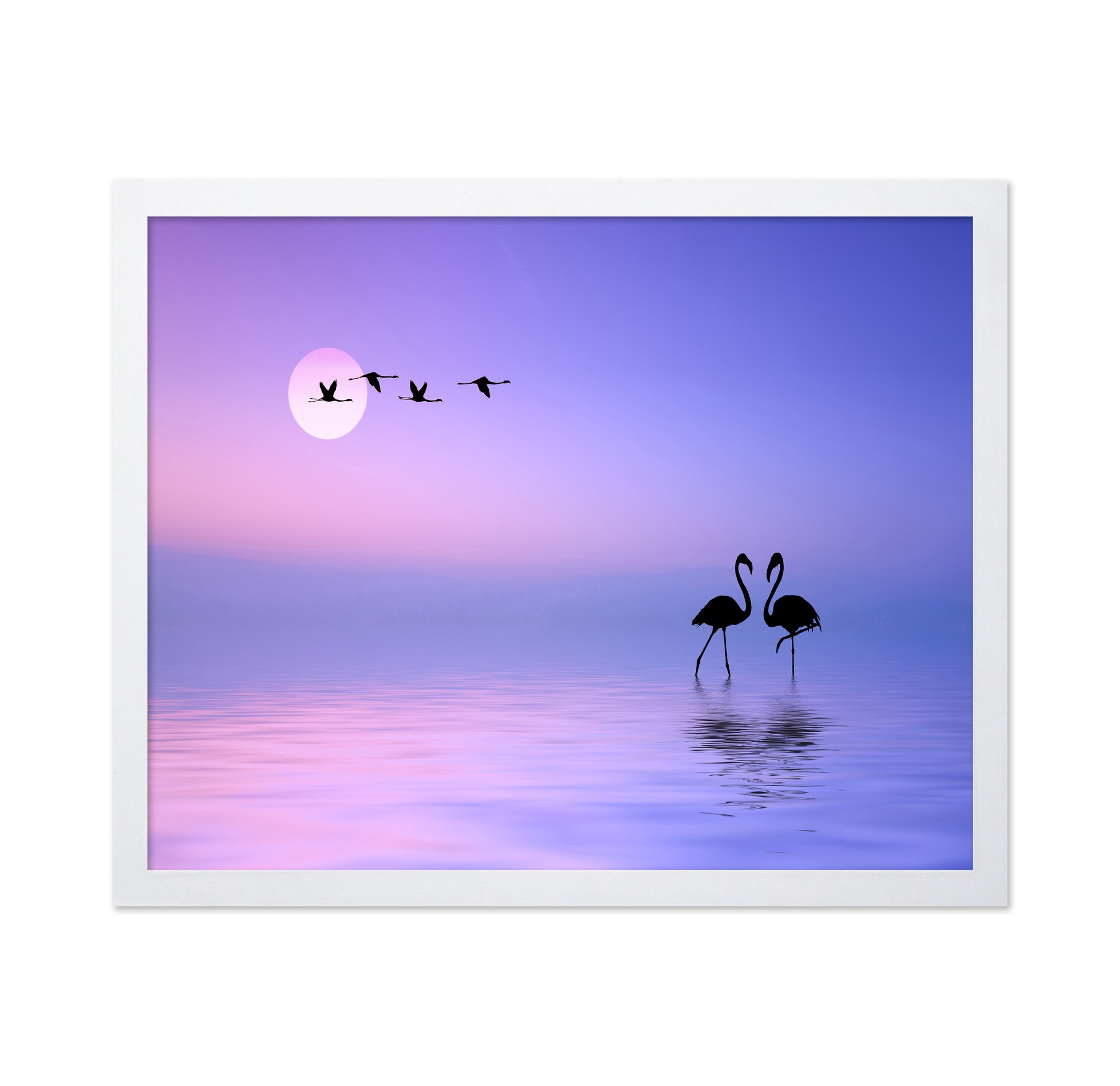 Flying Flamingo