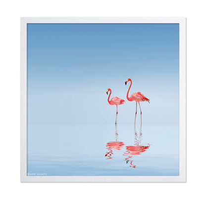 Pink Flamingos