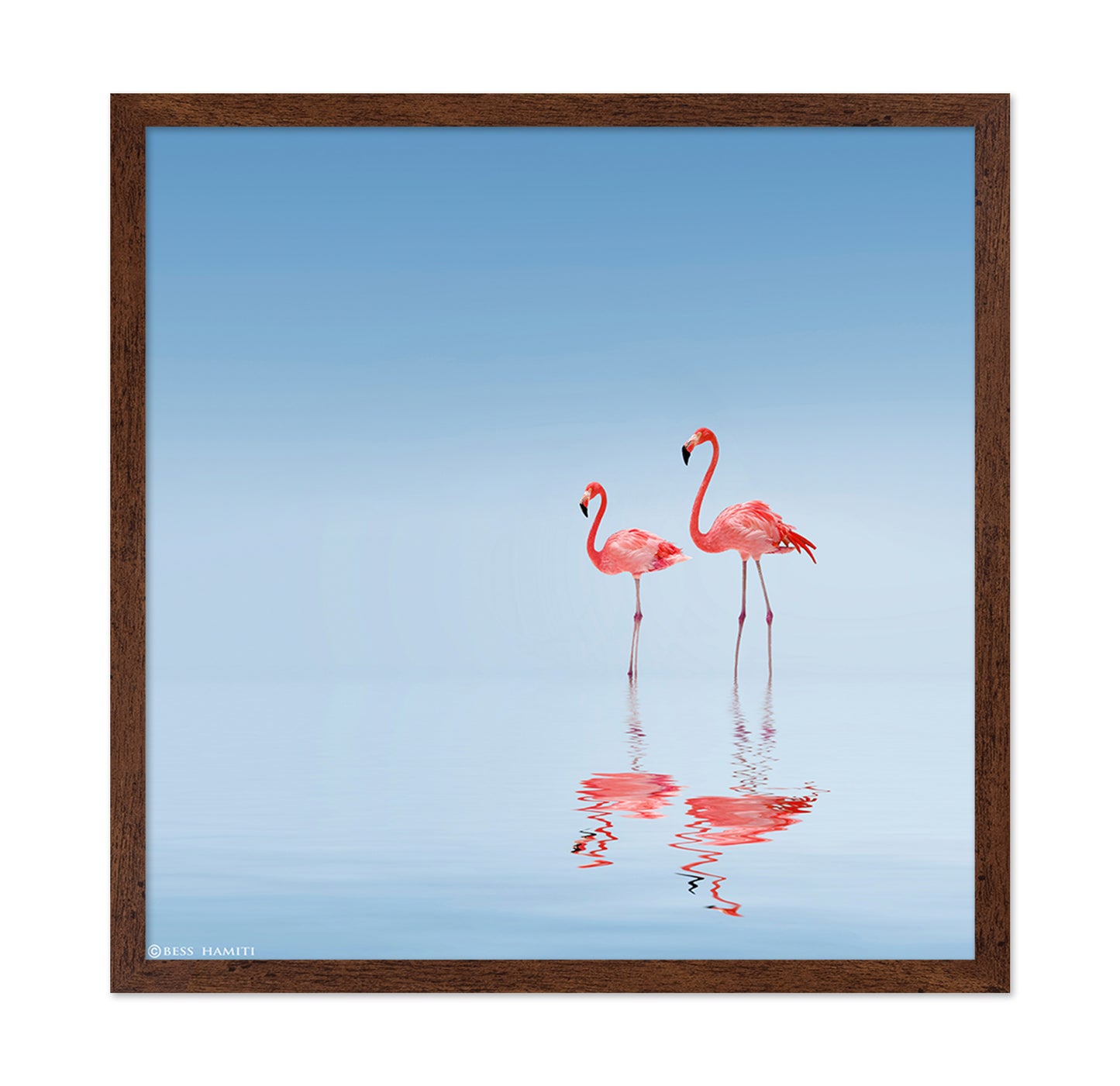 Pink Flamingos