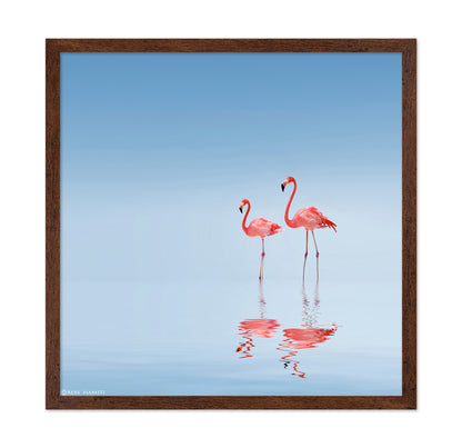 Pink Flamingos