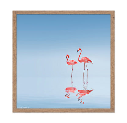 Pink Flamingos
