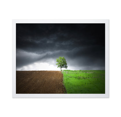 Lonely Tree Against A Dramatic Sky