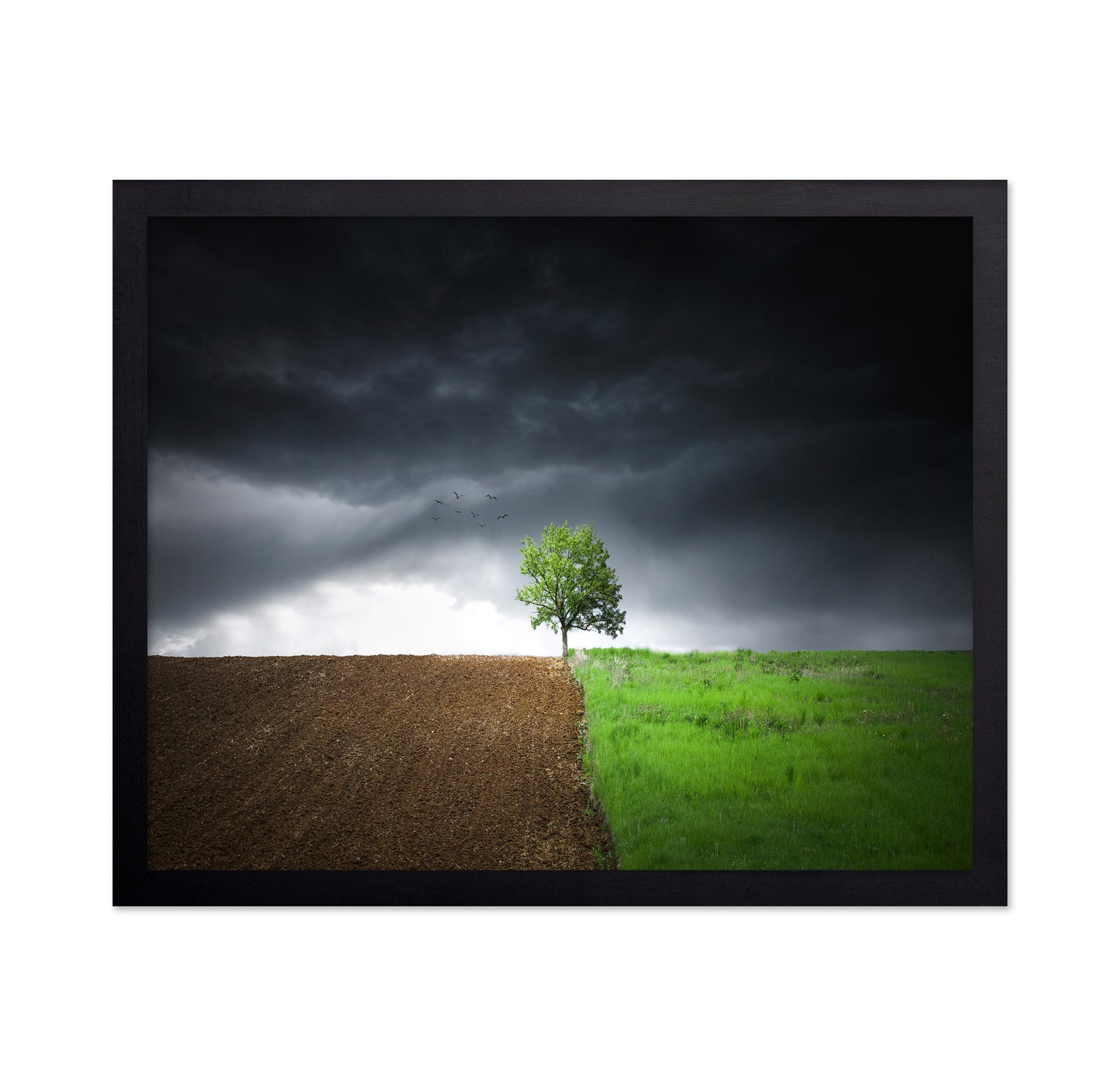 Lonely Tree Against A Dramatic Sky