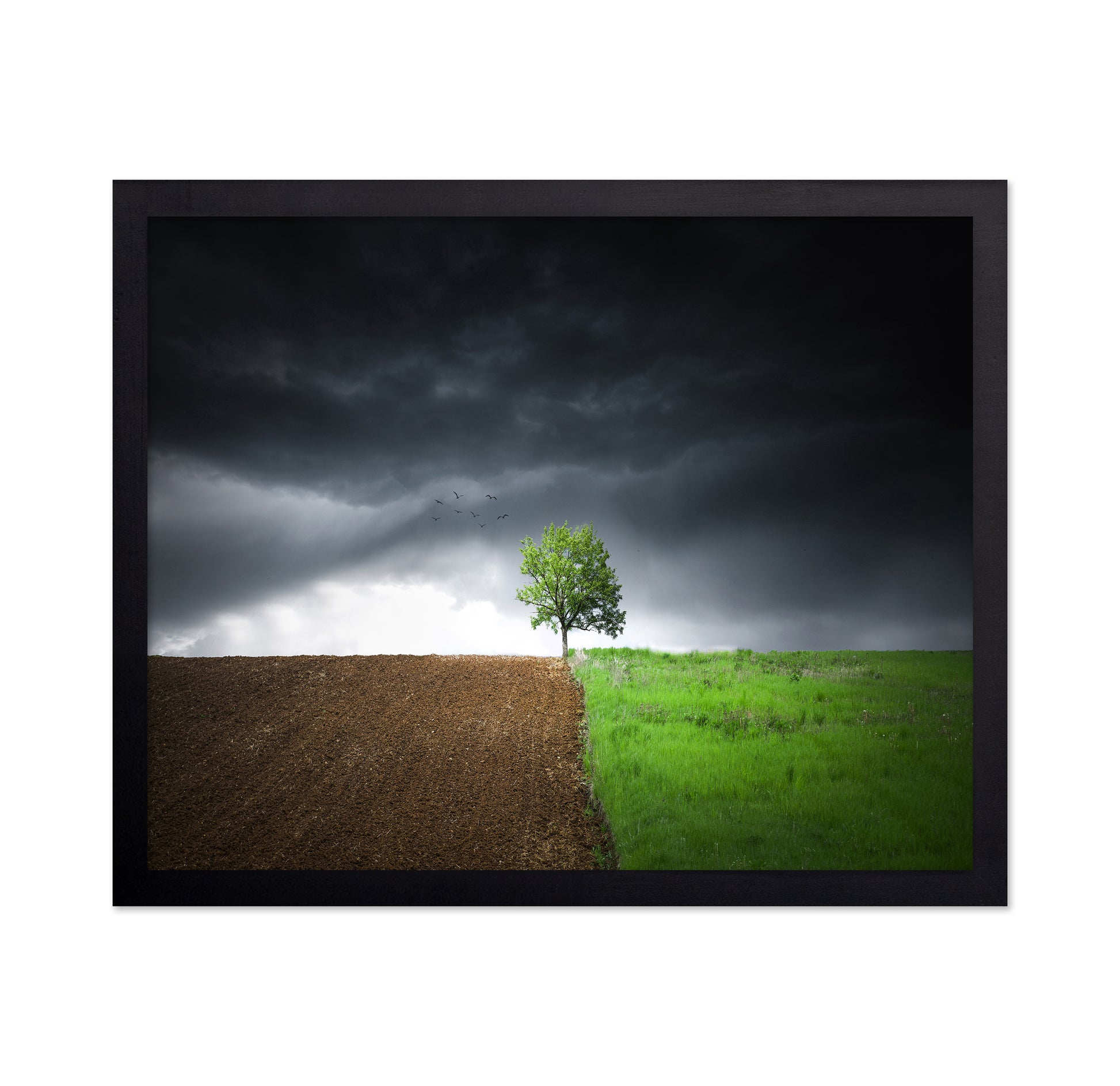 Lonely Tree Against A Dramatic Sky