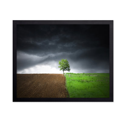 Lonely Tree Against A Dramatic Sky