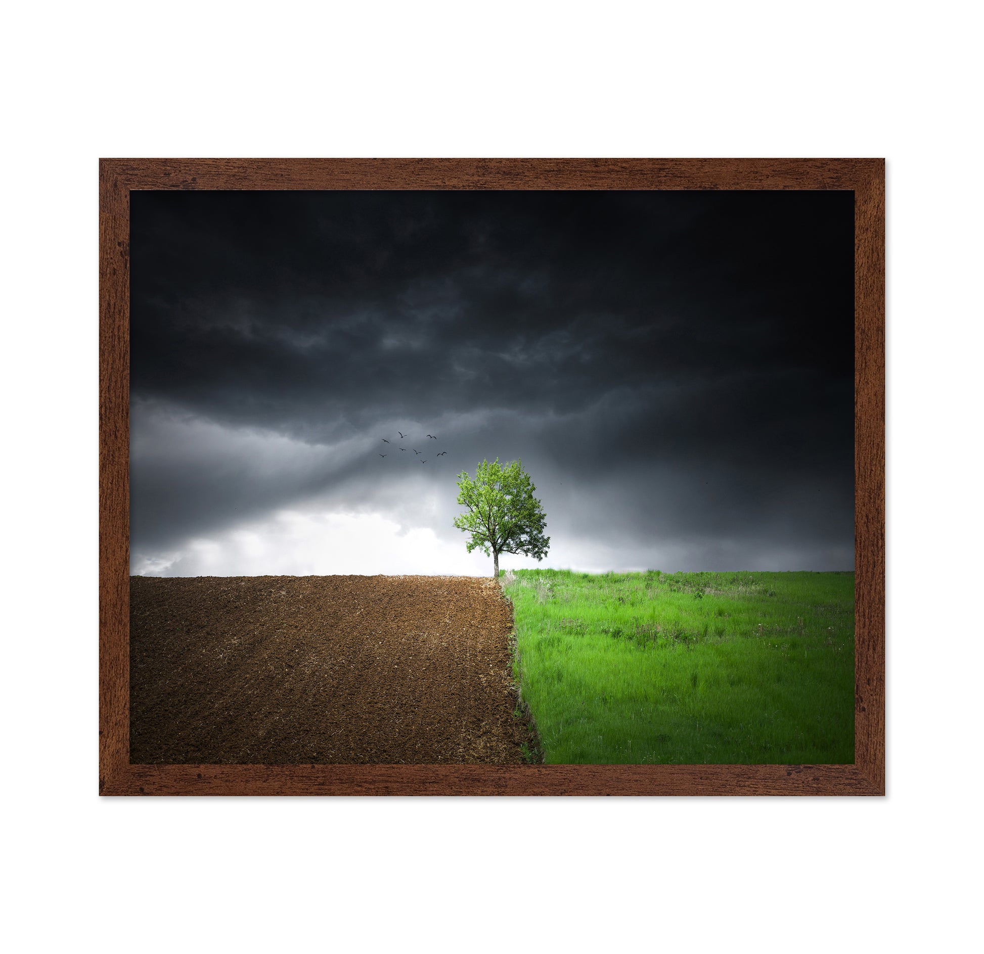 Lonely Tree Against A Dramatic Sky