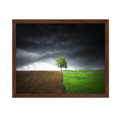 Lonely Tree Against A Dramatic Sky