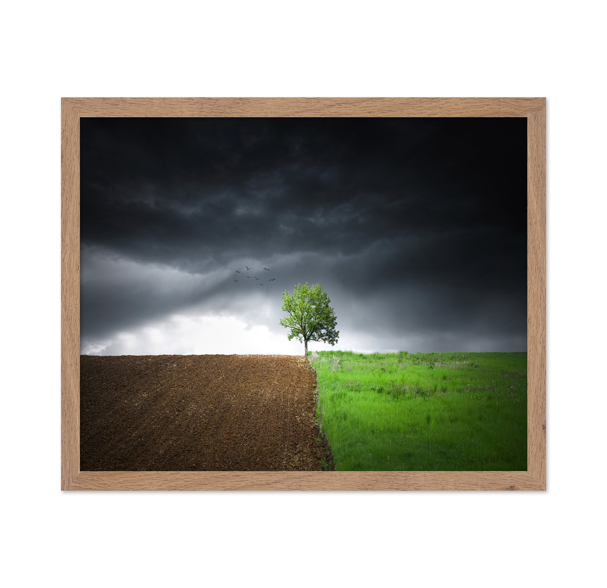 Lonely Tree Against A Dramatic Sky