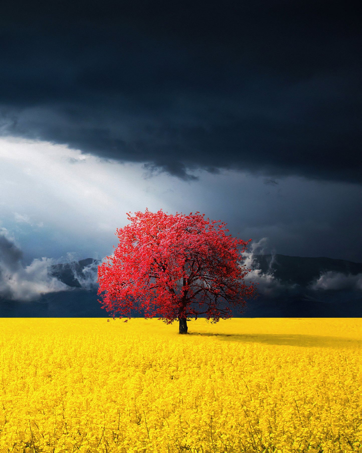Red Tree
