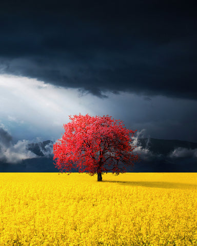 Red Tree
