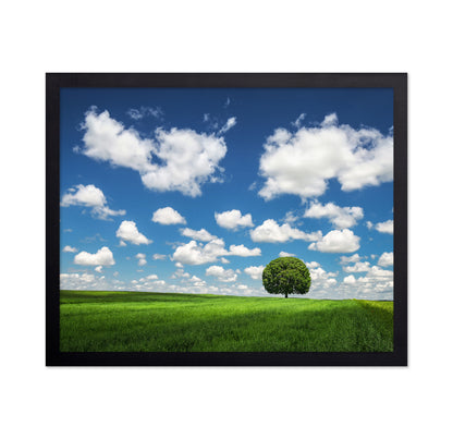 Lonely Tree