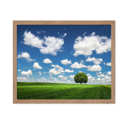 Lonely Tree