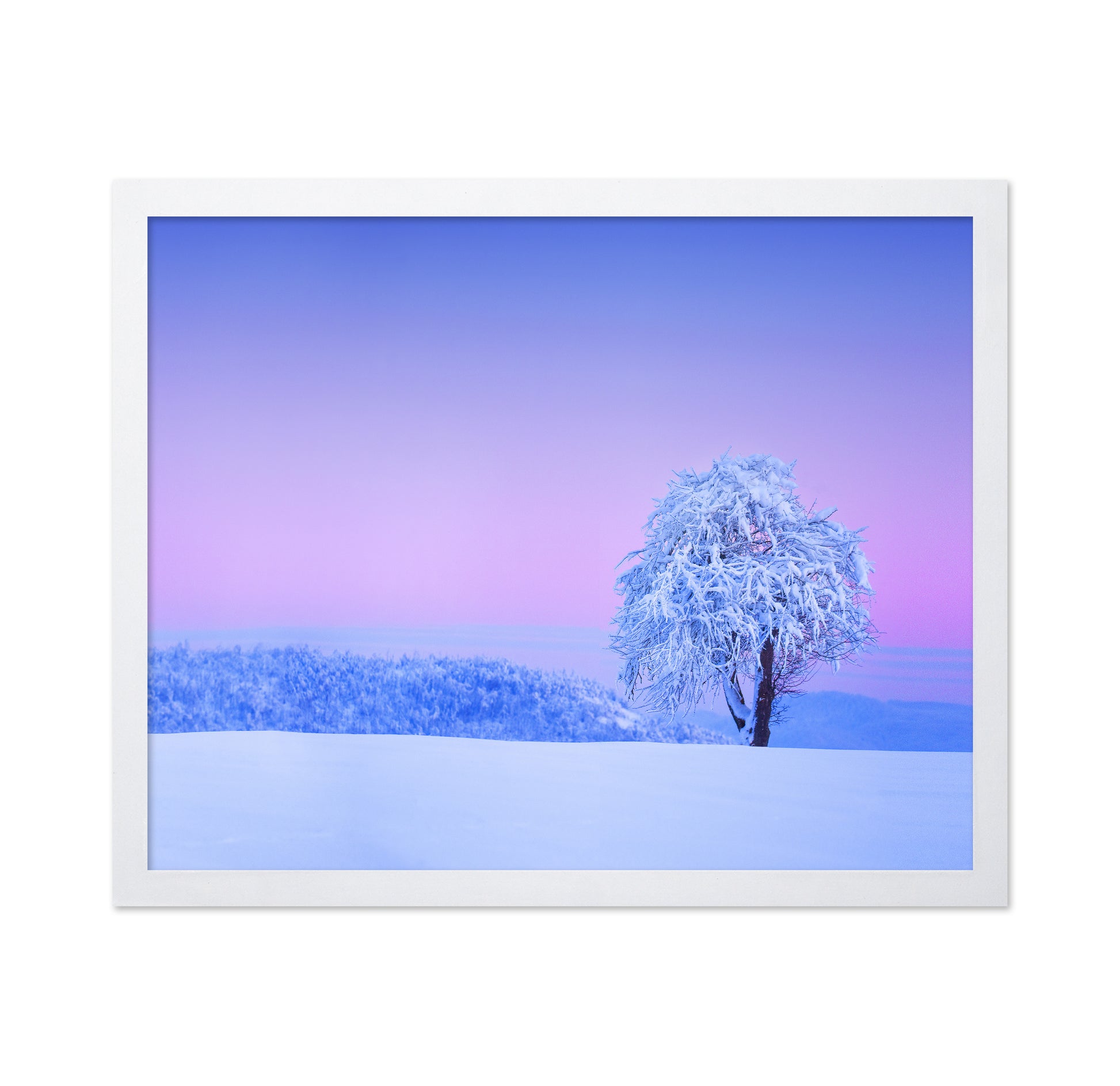 Winter Tree