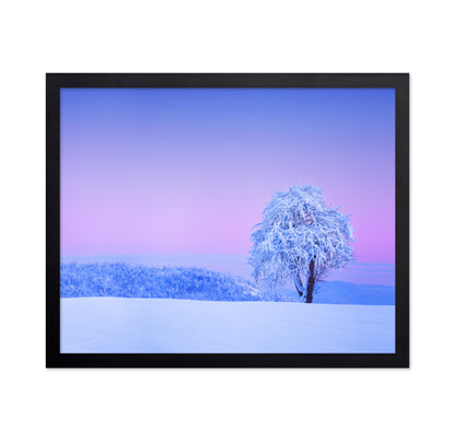 Winter Tree