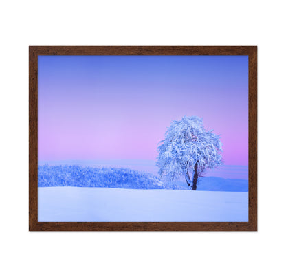 Winter Tree