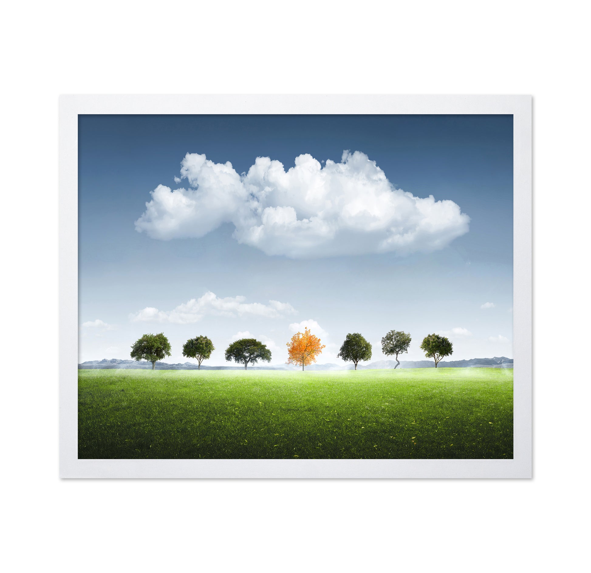 Seven Tree