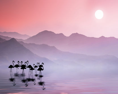 Flamingos Sunset