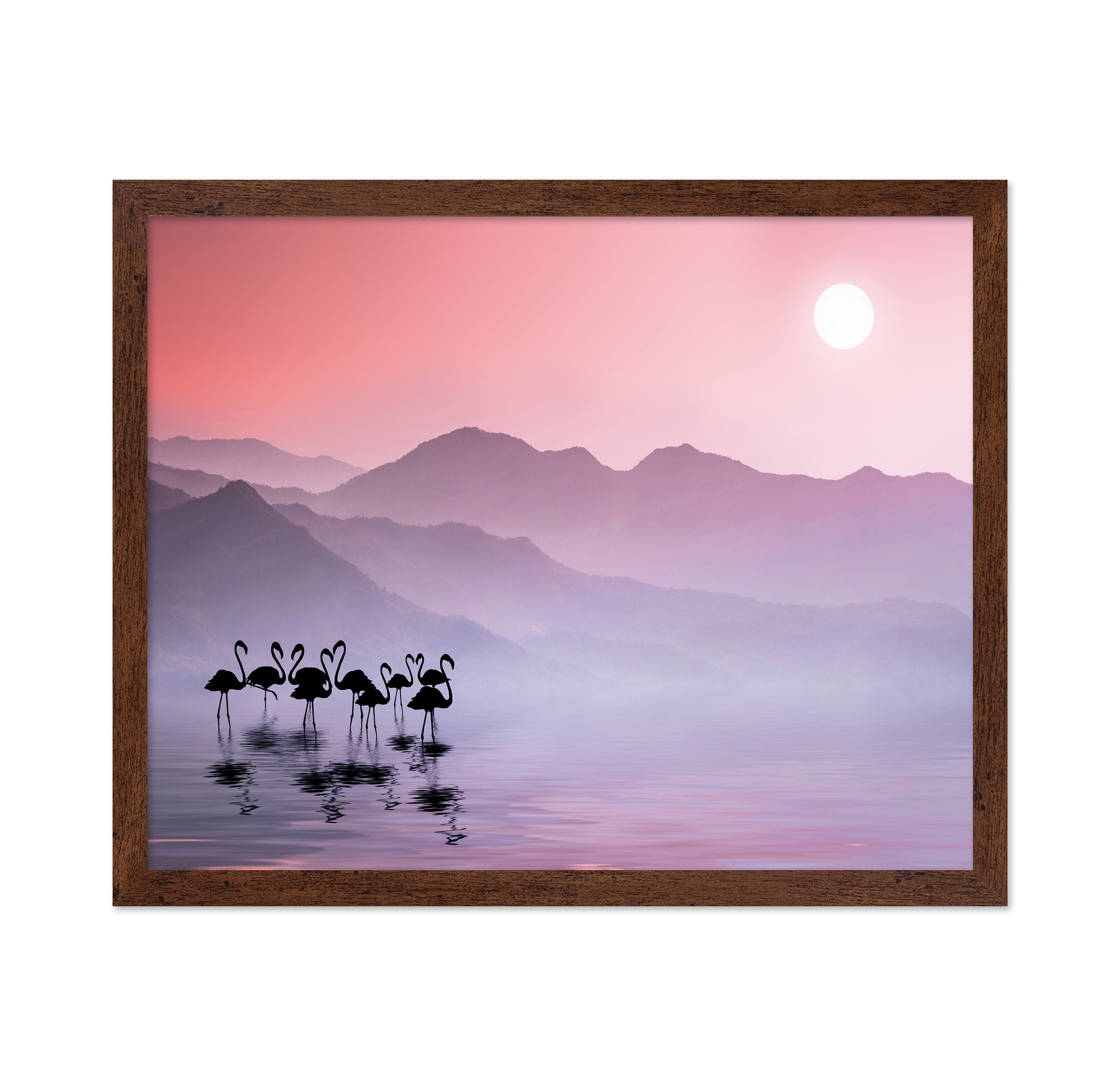 Flamingos Sunset