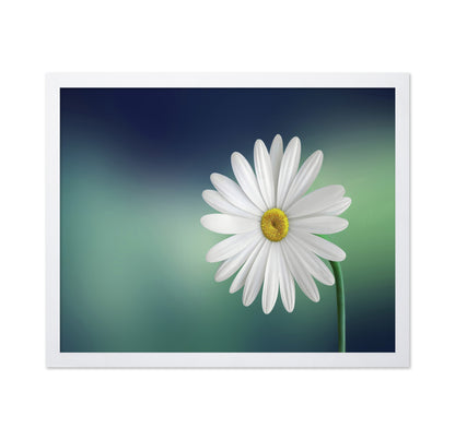 White Daisy