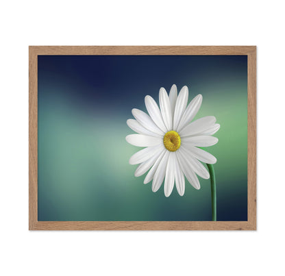 White Daisy