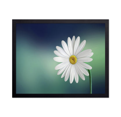 White Daisy