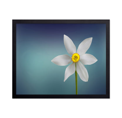 Flower Of Paradise