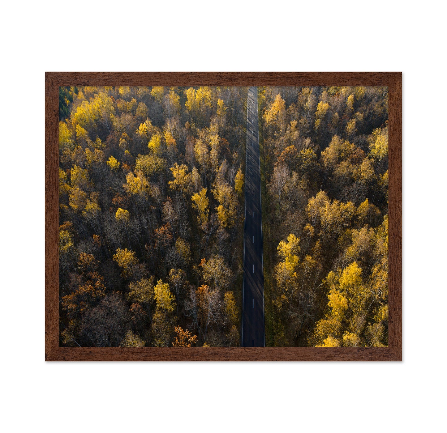 Autumn Forest Road