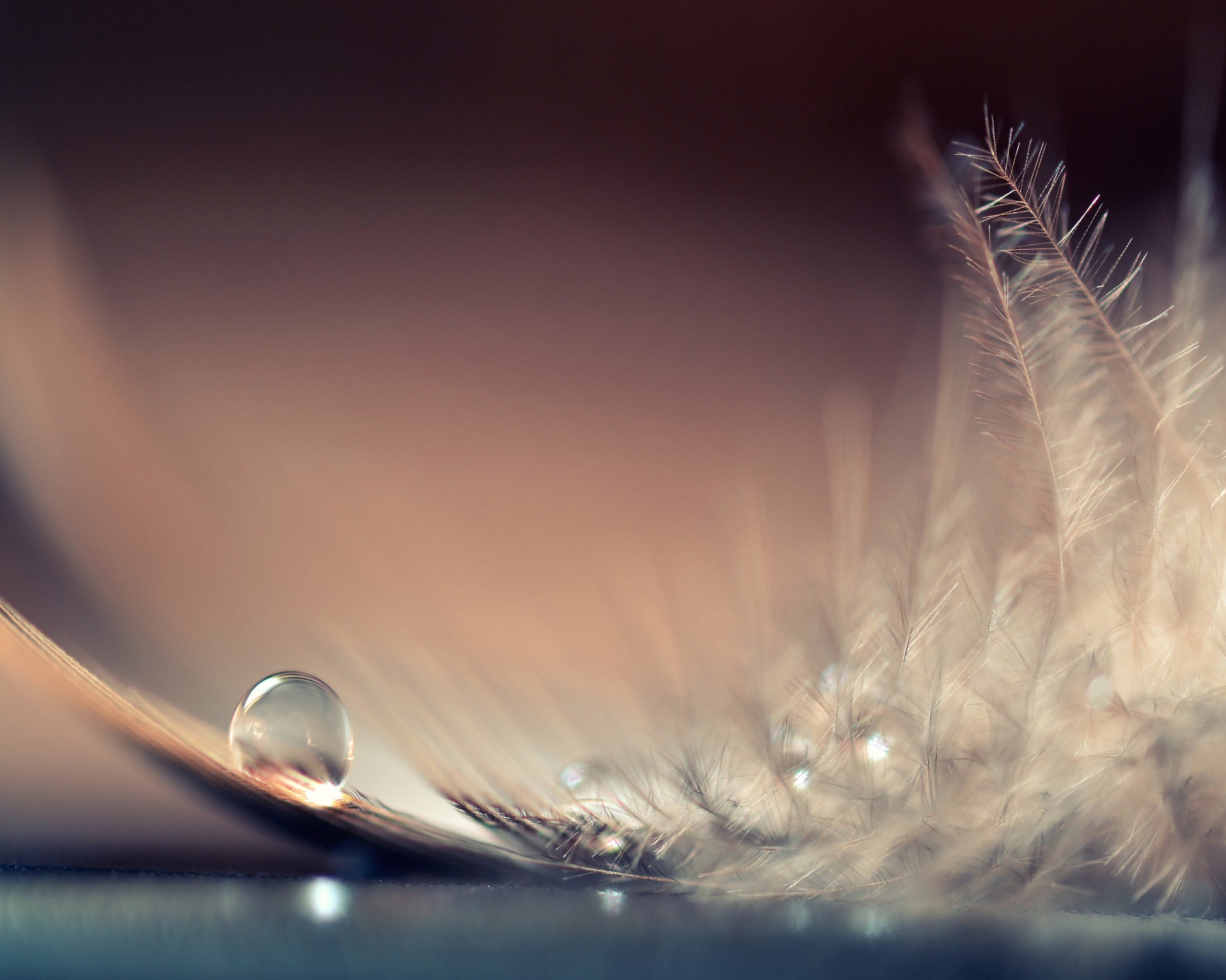 Stories Of Drops